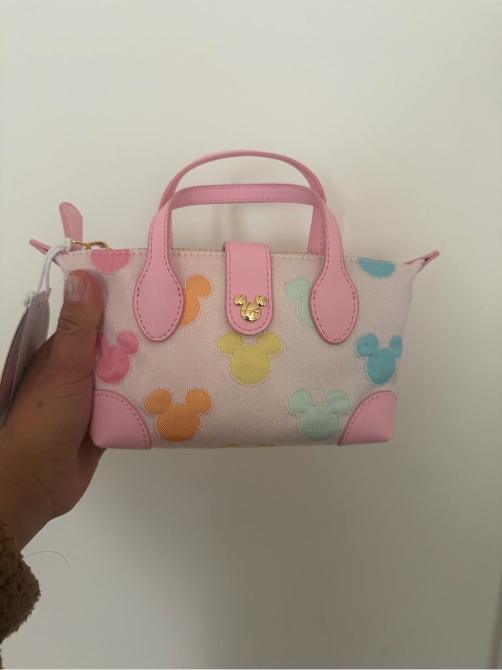 Stoney clover Disney parks pouchette Mickey Mouse icon nwt